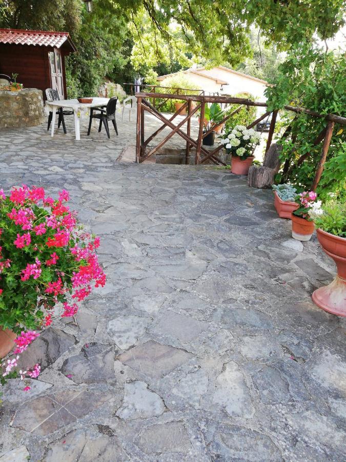 Villino Rosi Villa Monteverdi Marittimo Dış mekan fotoğraf